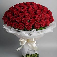 Букет 101 Красная роза Блэк Мэджик в Солнечном Хабаровского края