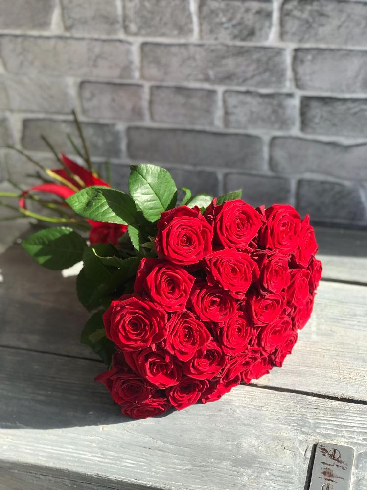 Букет Красные розы Фридом в Солнечном Хабаровского края