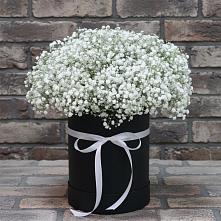 Цветочная композиция из Гипсофила в шляпной коробке в Солнечном Хабаровского края