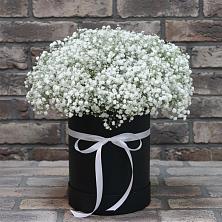 Цветочная композиция из Гипсофила в шляпной коробке в Солнечном Хабаровского края