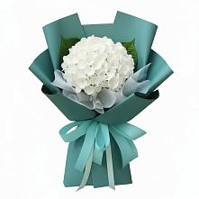Букет цветов из:  Гортензия #REPLACE_PRED# Солнечном Хабаровского края